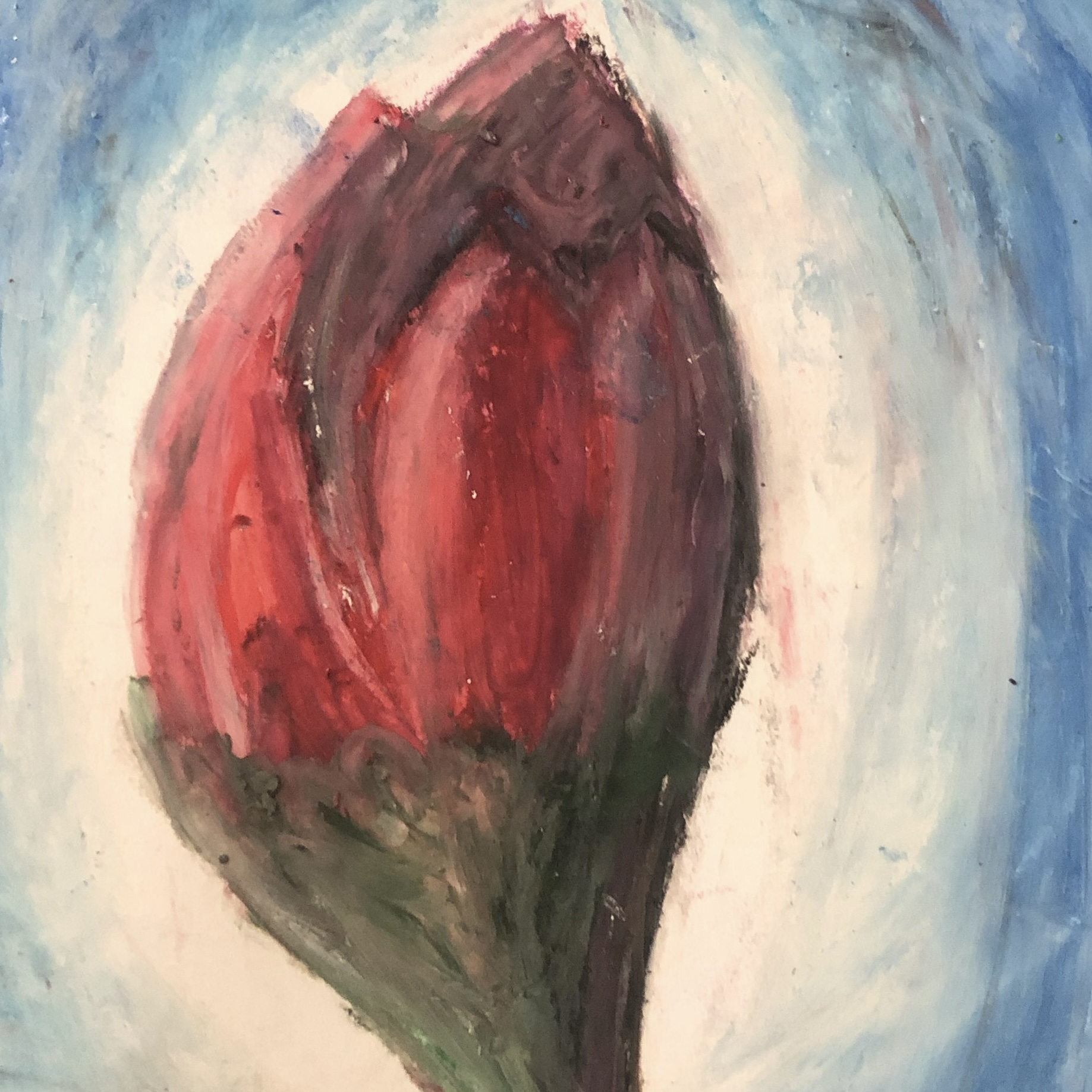 Drawing in pastels of a red flower. It is in the process of blooming.