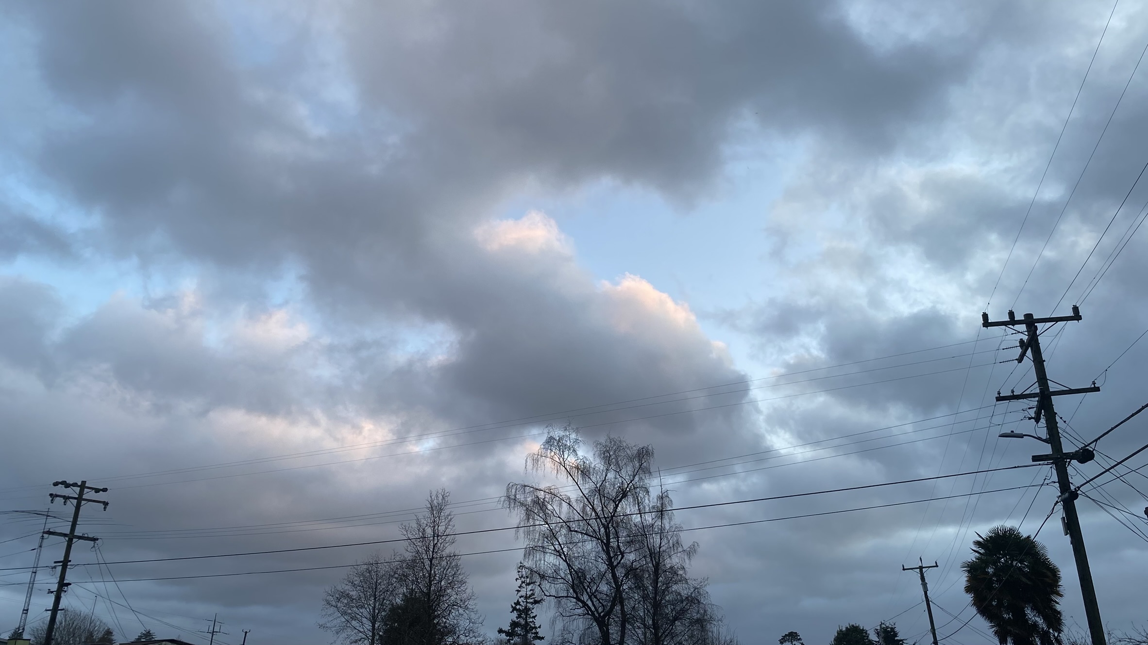 A photo of a stormy sky with blue hues and clear skies coming in from behind the clouds. Several trees and telephone wires pop out in the midground. 