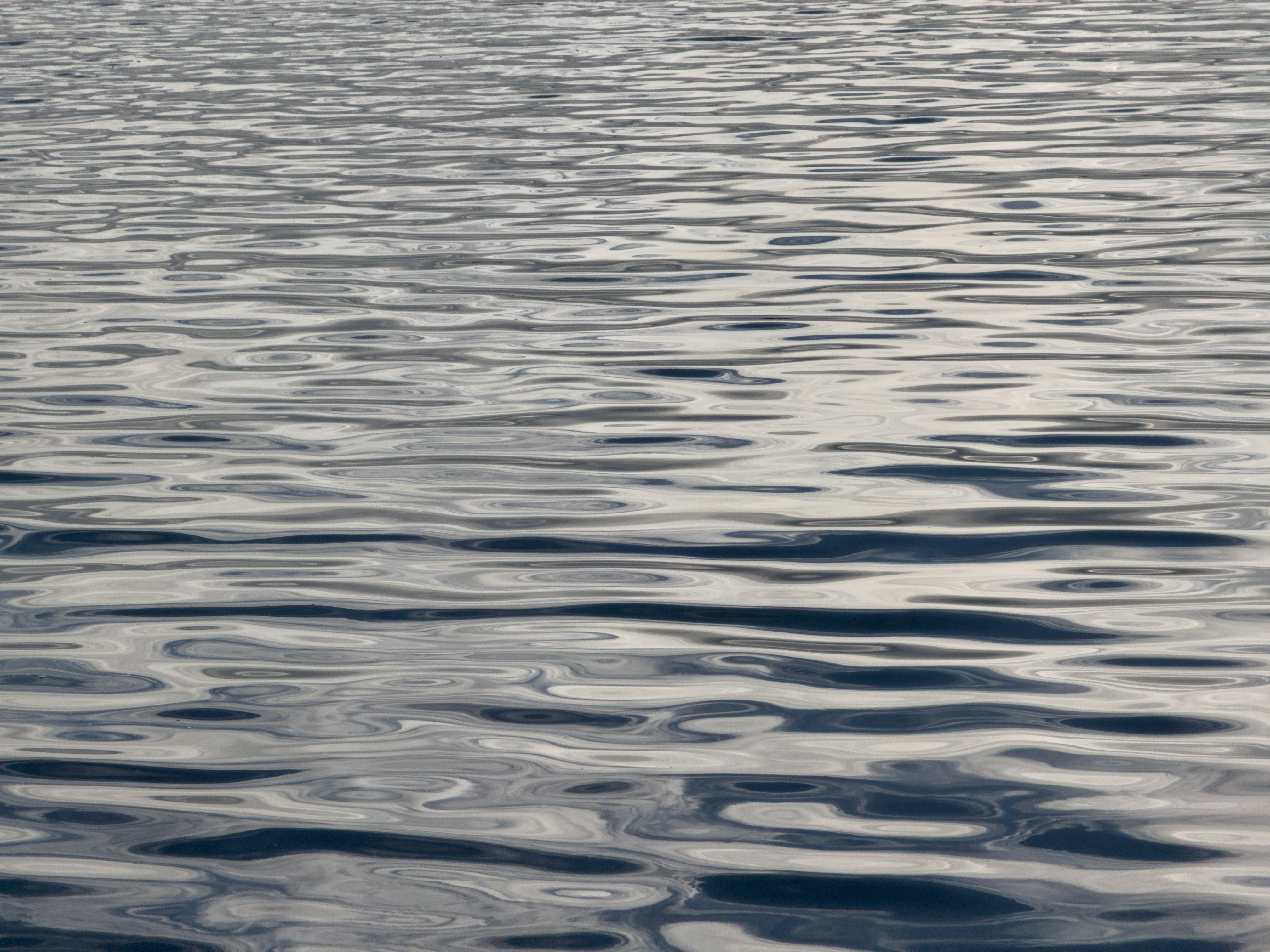 Photo of ripples on the surface of a body of water. Grays, whites, and blues dance in the movement of the ripples.