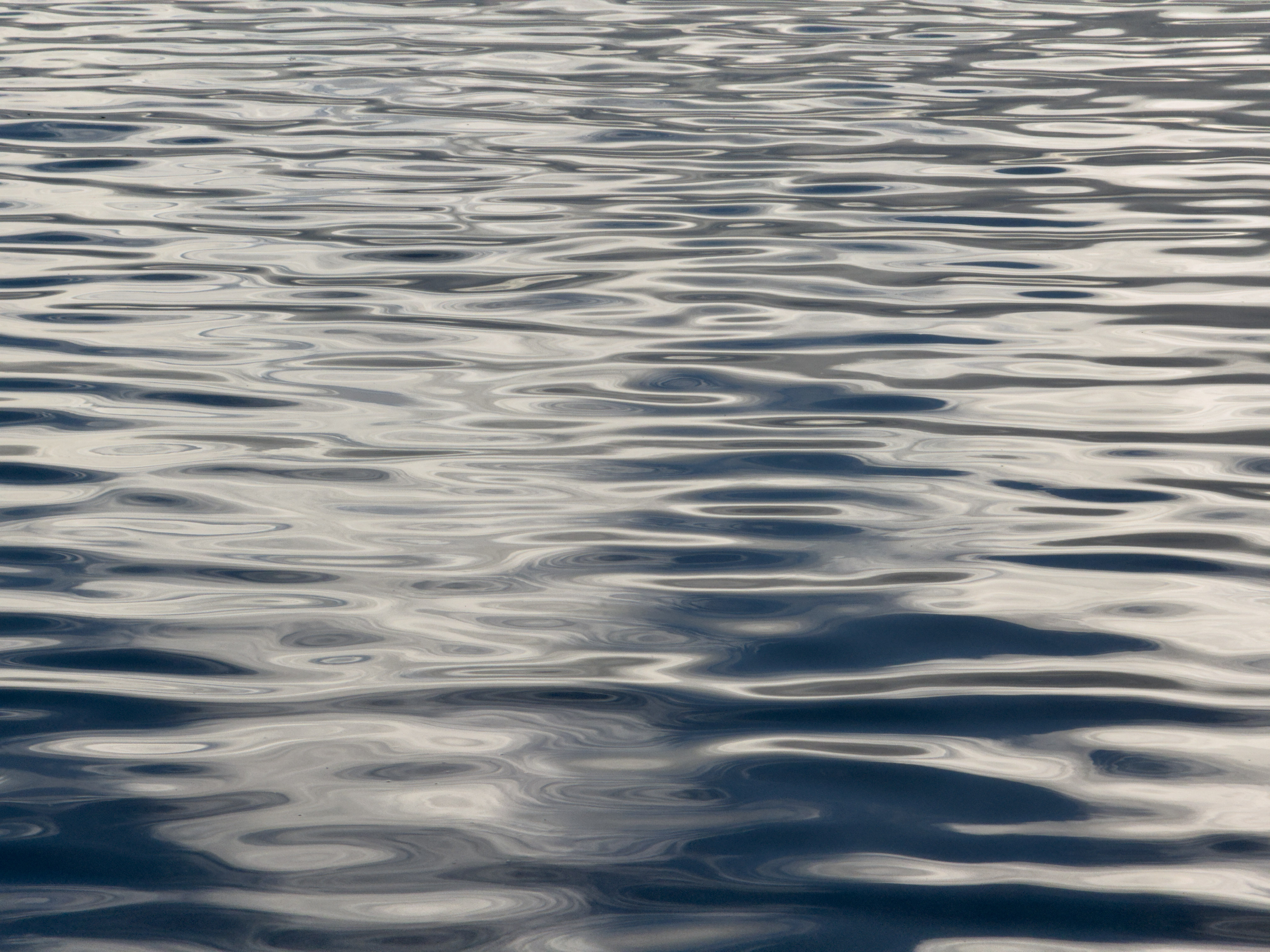 Light bounces off a body of water.